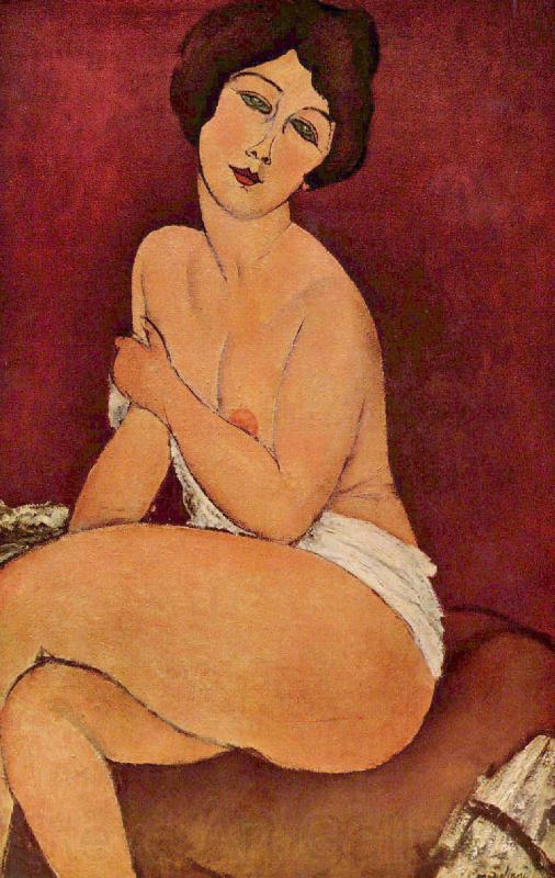 Amedeo Modigliani Nude Sitting on a Divan Germany oil painting art